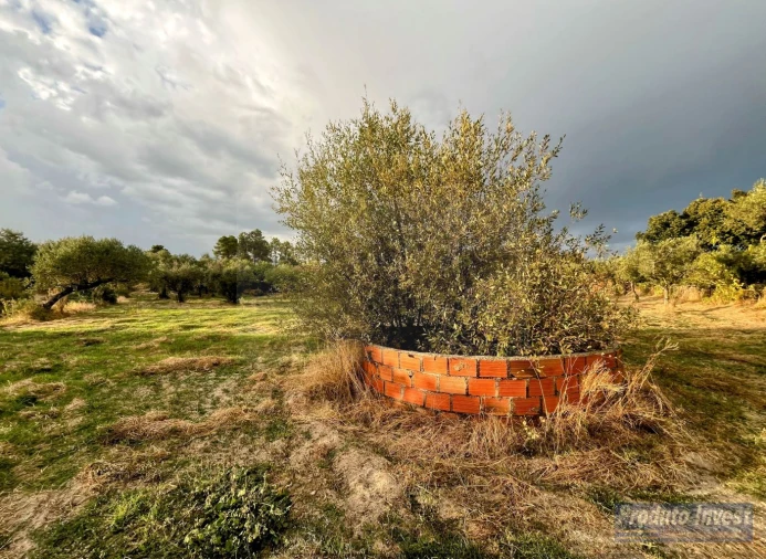 Quinta T0 para Venda em Soalheira Foto 4