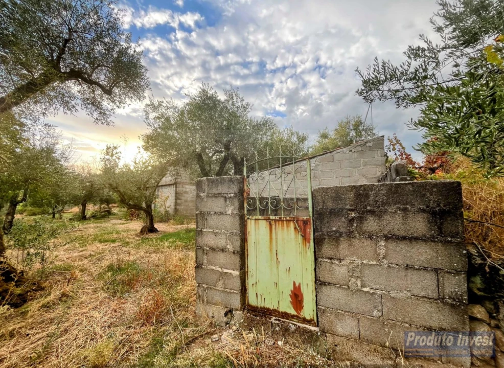 Quinta T0 para Venda em Soalheira Foto 5