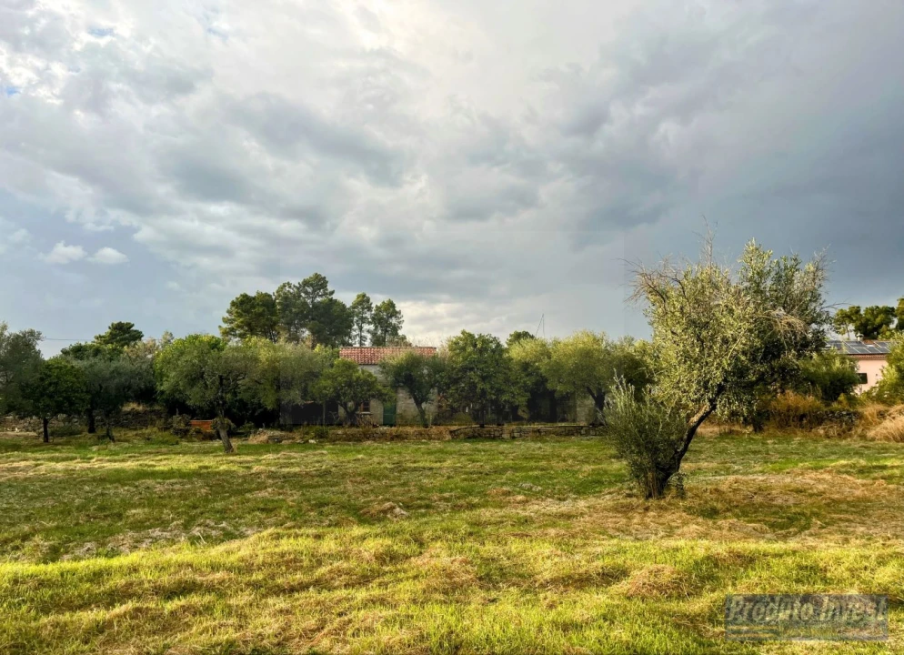 Quinta T0 para Venda em Soalheira Foto 9