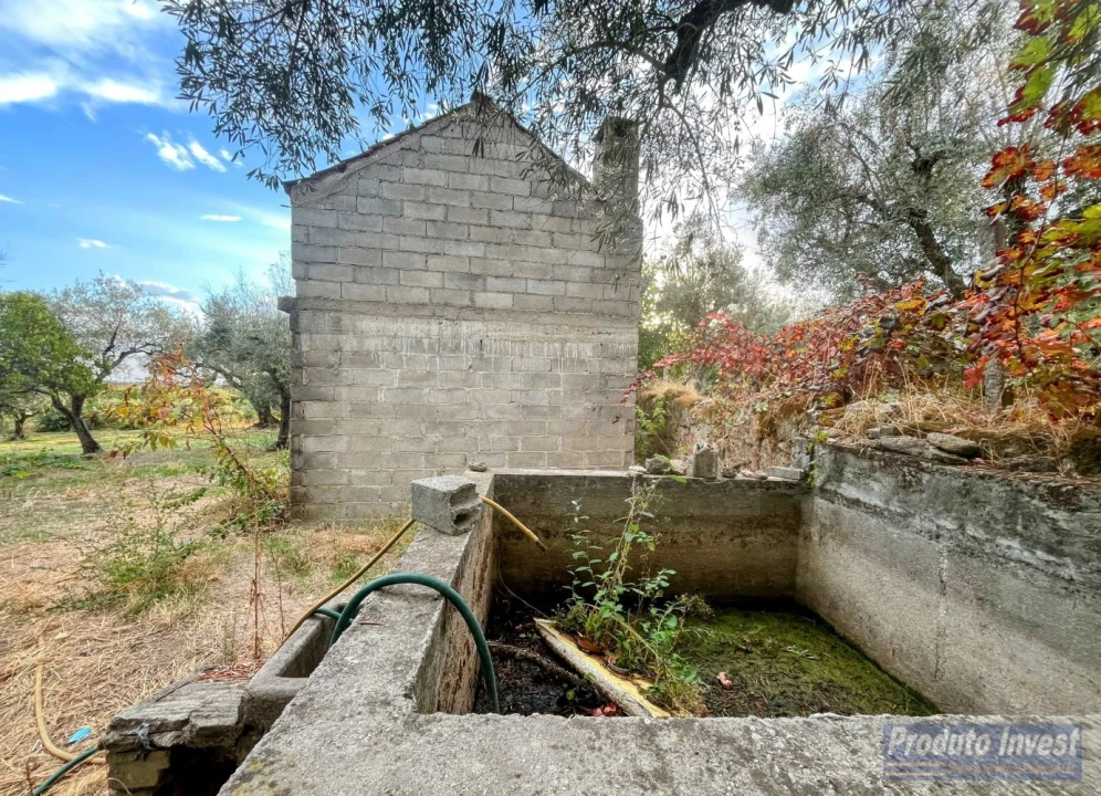 Quinta T0 para Venda em Soalheira Foto 3