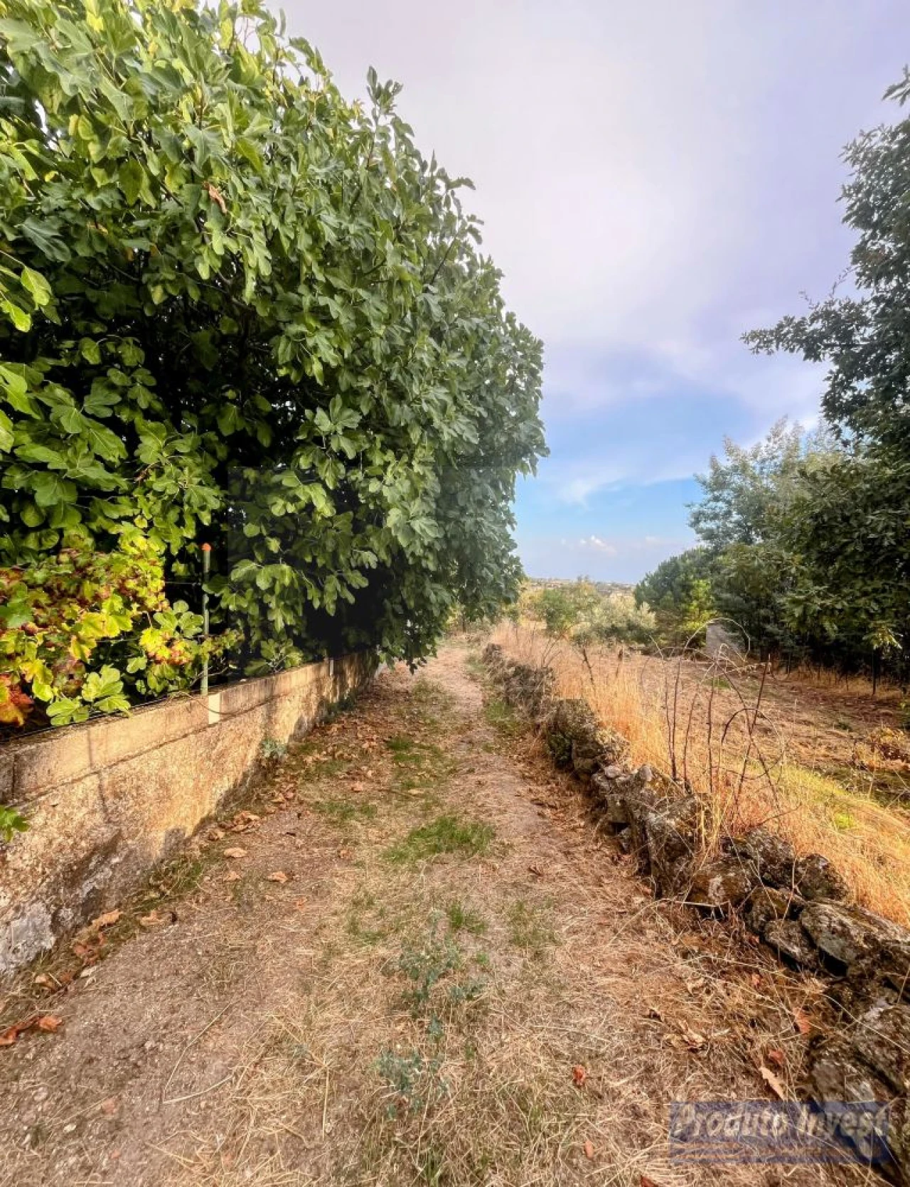 Quinta T0 para Venda em Soalheira Foto 11