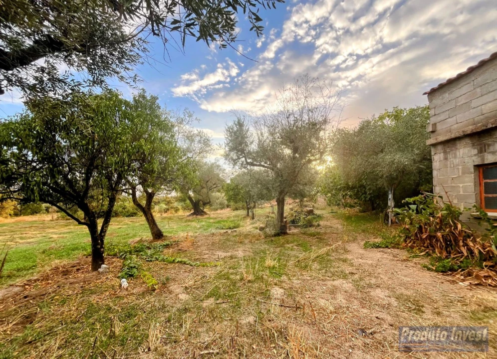 Quinta T0 para Venda em Soalheira Foto 10