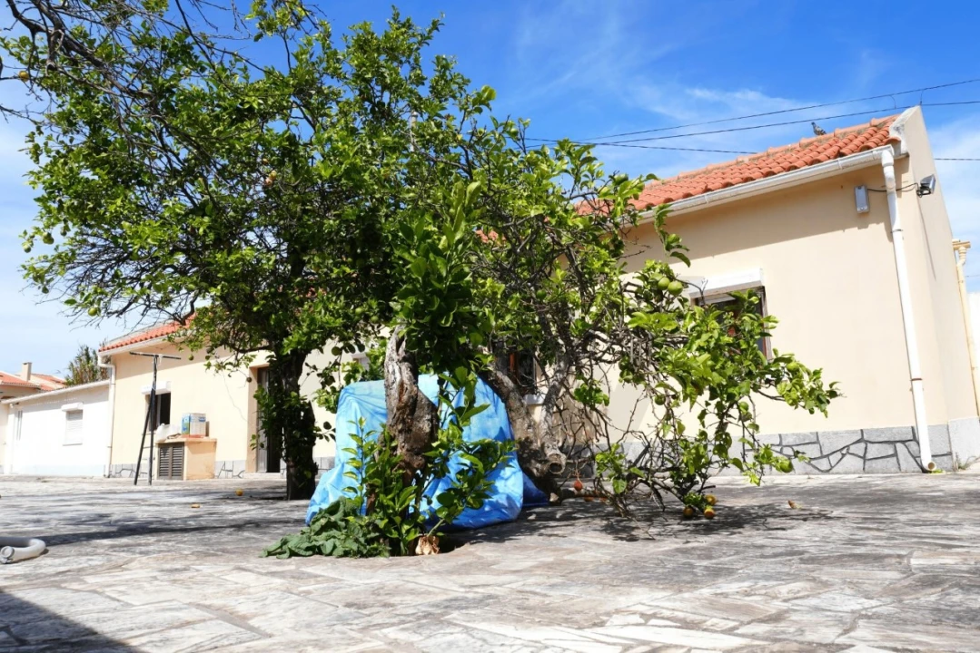Terreno para Venda em Alcabideche Foto 12