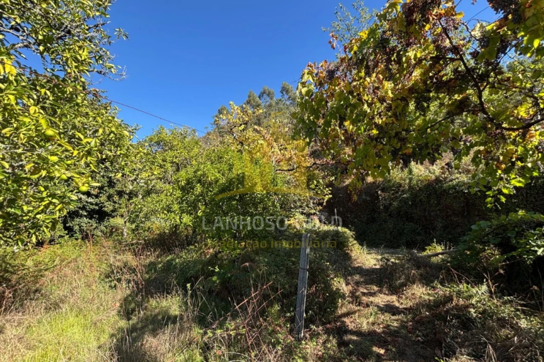 Terreno Agricola ou Rústico para Venda em Verim, Friande e Ajude Foto 6