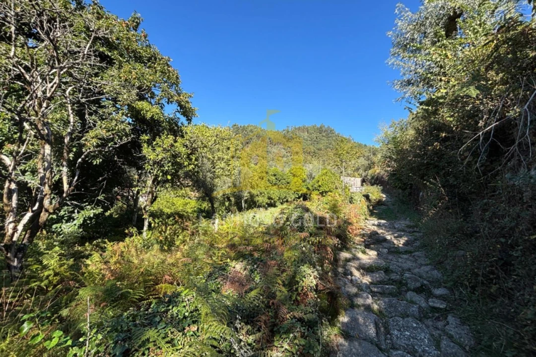 Terreno Agricola ou Rústico para Venda em Verim, Friande e Ajude Foto 8