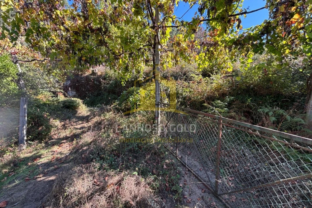Terreno Agricola ou Rústico para Venda em Verim, Friande e Ajude Foto 9