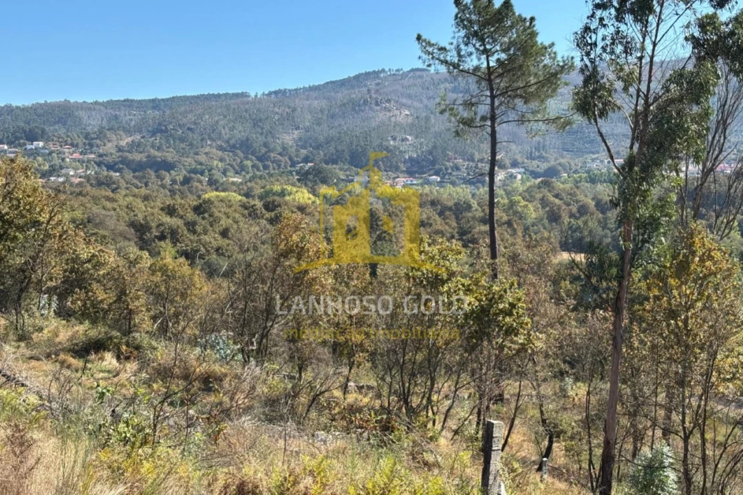Terreno Agricola ou Rústico para Venda em Verim, Friande e Ajude Foto 12