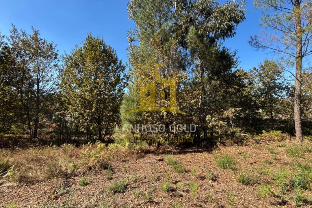 Terreno Agricola ou Rústico para Venda em Verim, Friande e Ajude Foto 15