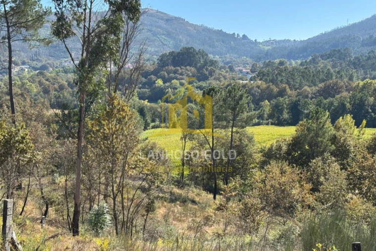 Terreno Agricola ou Rústico para Venda em Verim, Friande e Ajude Foto 1