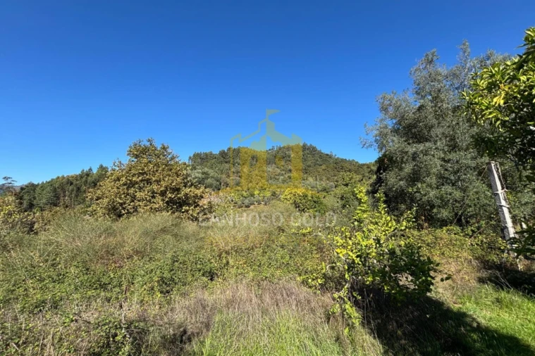 Terreno Agricola ou Rústico para Venda em Verim, Friande e Ajude Foto 2