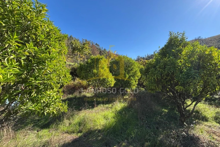 Terreno Agricola ou Rústico para Venda em Verim, Friande e Ajude Foto 5