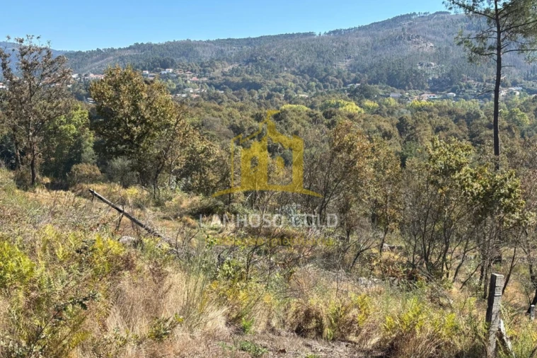 Terreno Agricola ou Rústico para Venda em Verim, Friande e Ajude Foto 13
