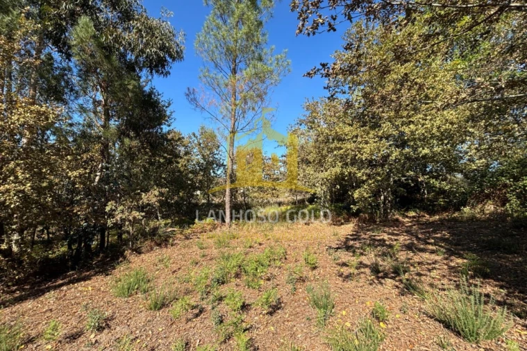 Terreno Agricola ou Rústico para Venda em Verim, Friande e Ajude Foto 16