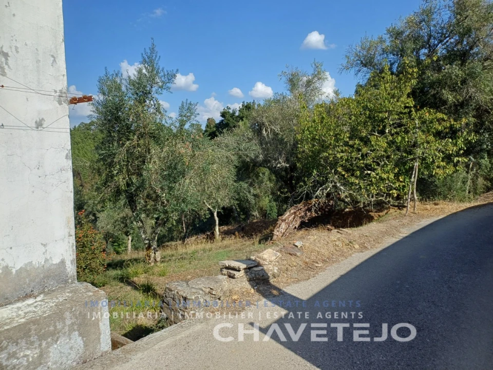 Moradia T2 para Venda em Cernache do Bonjardim, Nesperal e Palhais Foto 5