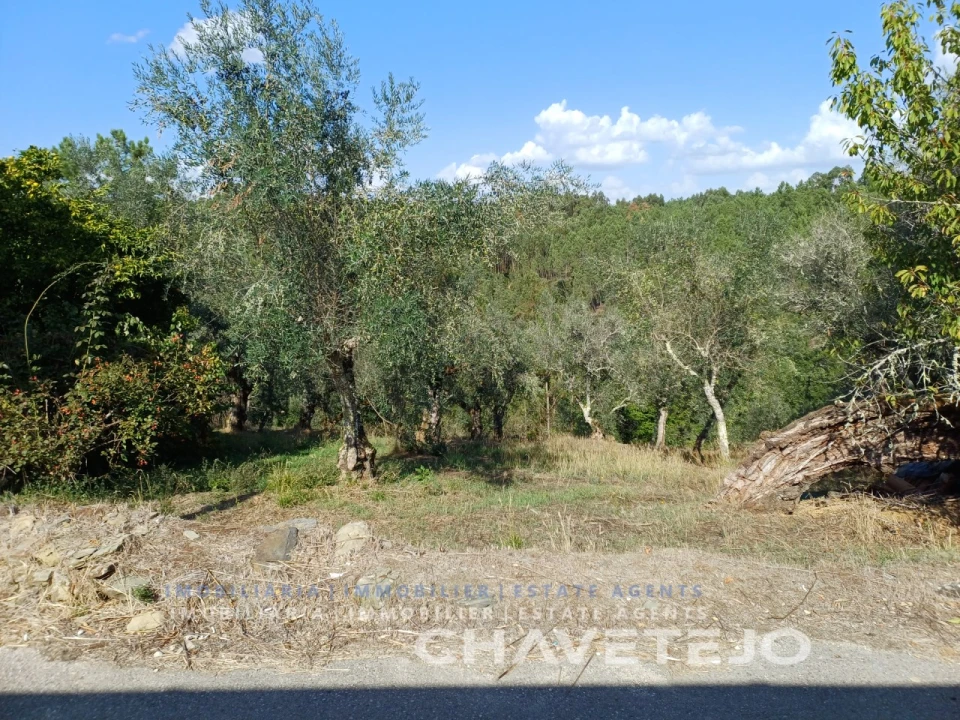 Moradia T2 para Venda em Cernache do Bonjardim, Nesperal e Palhais Foto 6