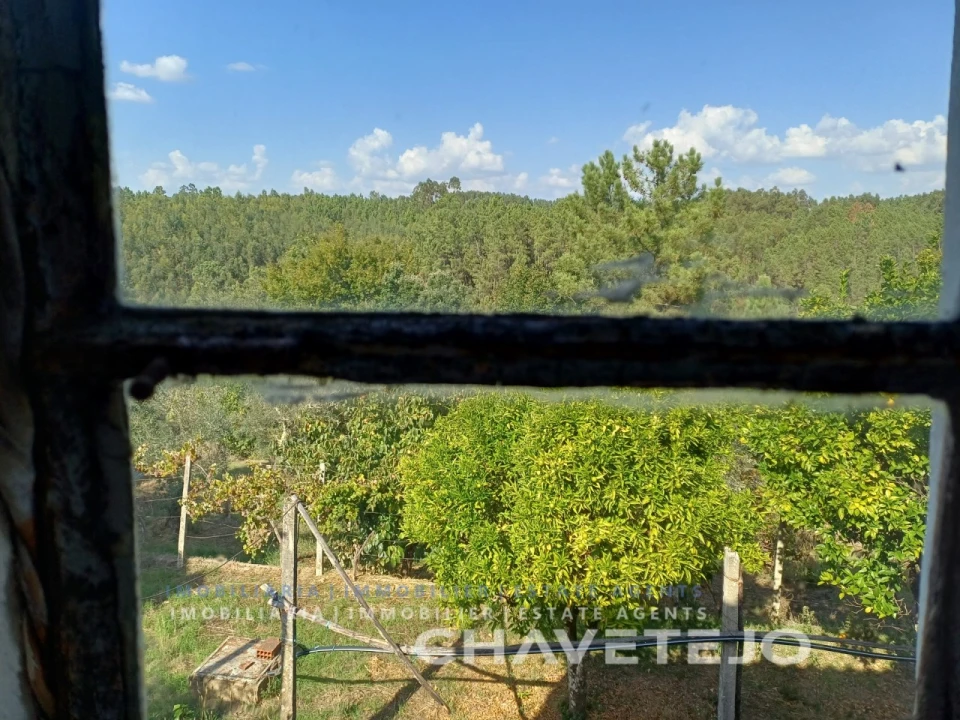 Moradia T2 para Venda em Cernache do Bonjardim, Nesperal e Palhais Foto 28