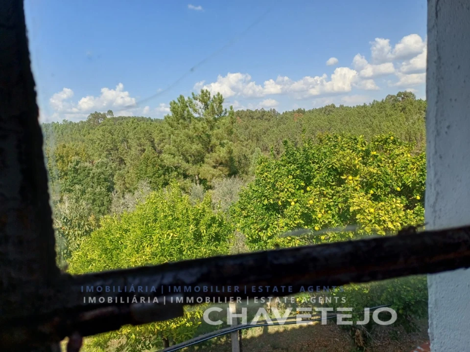 Moradia T2 para Venda em Cernache do Bonjardim, Nesperal e Palhais Foto 29