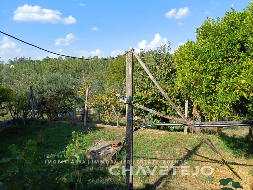 Moradia T2 para Venda em Cernache do Bonjardim, Nesperal e Palhais Foto 42