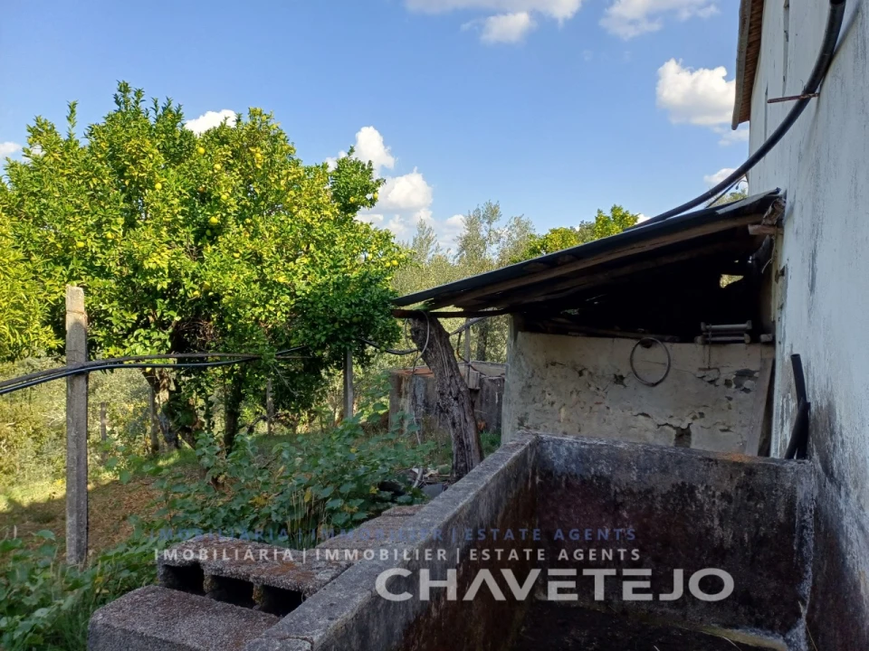 Moradia T2 para Venda em Cernache do Bonjardim, Nesperal e Palhais Foto 48