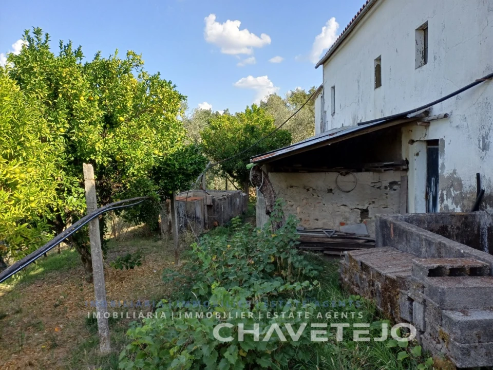 Moradia T2 para Venda em Cernache do Bonjardim, Nesperal e Palhais Foto 49