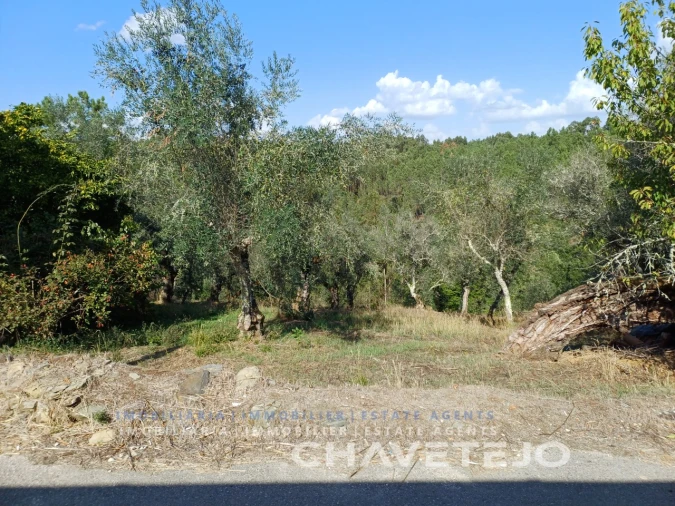 Moradia T2 para Venda em Cernache do Bonjardim, Nesperal e Palhais Foto 6