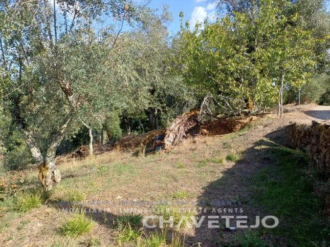 Moradia T2 para Venda em Cernache do Bonjardim, Nesperal e Palhais Foto 32