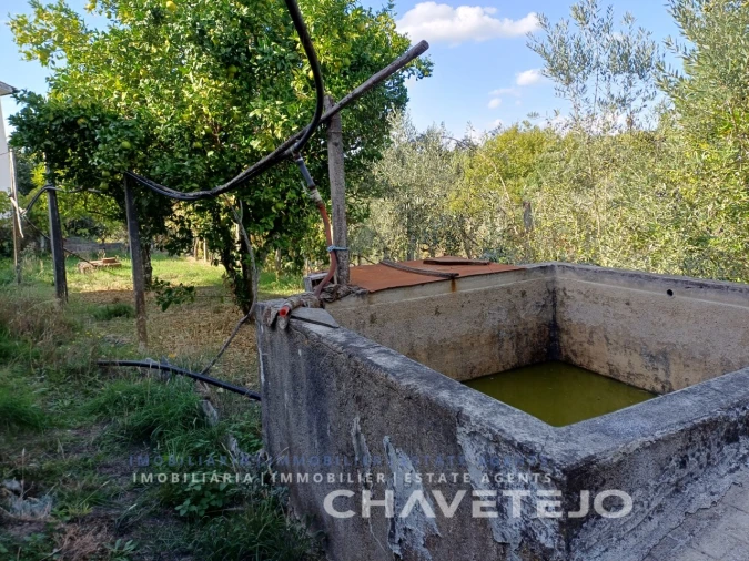 Moradia T2 para Venda em Cernache do Bonjardim, Nesperal e Palhais Foto 39