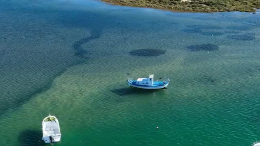 Apartamento T2 para Venda em Conceição e Cabanas de Tavira Foto 12