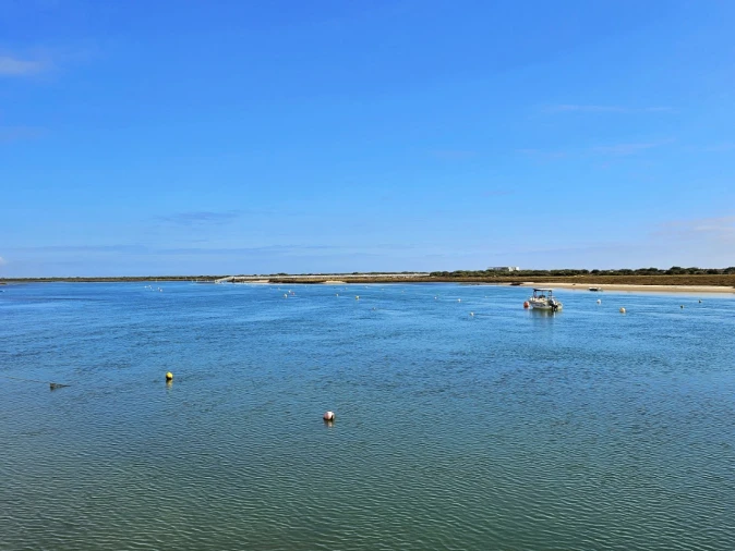 Apartamento T1 para Venda em Conceição e Cabanas de Tavira Foto 14
