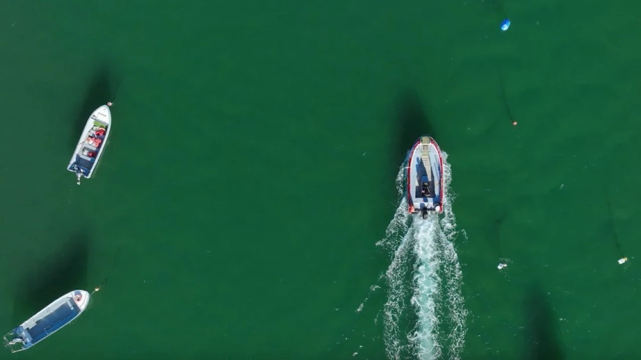 Apartamento T2 para Venda em Conceição e Cabanas de Tavira Foto 12