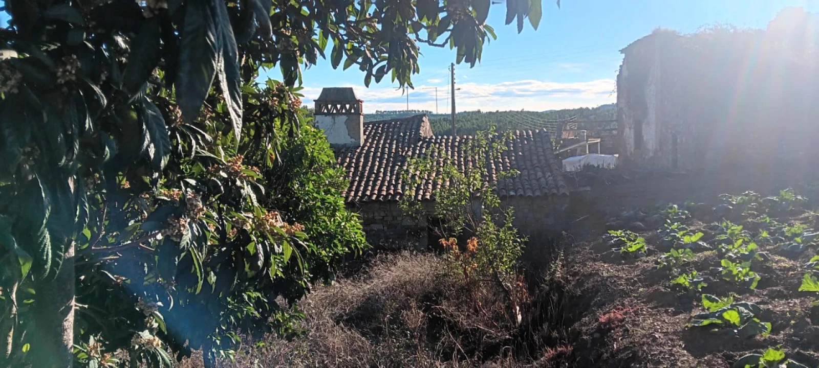 Moradia T2 para Venda em Carvoeiro Foto 6