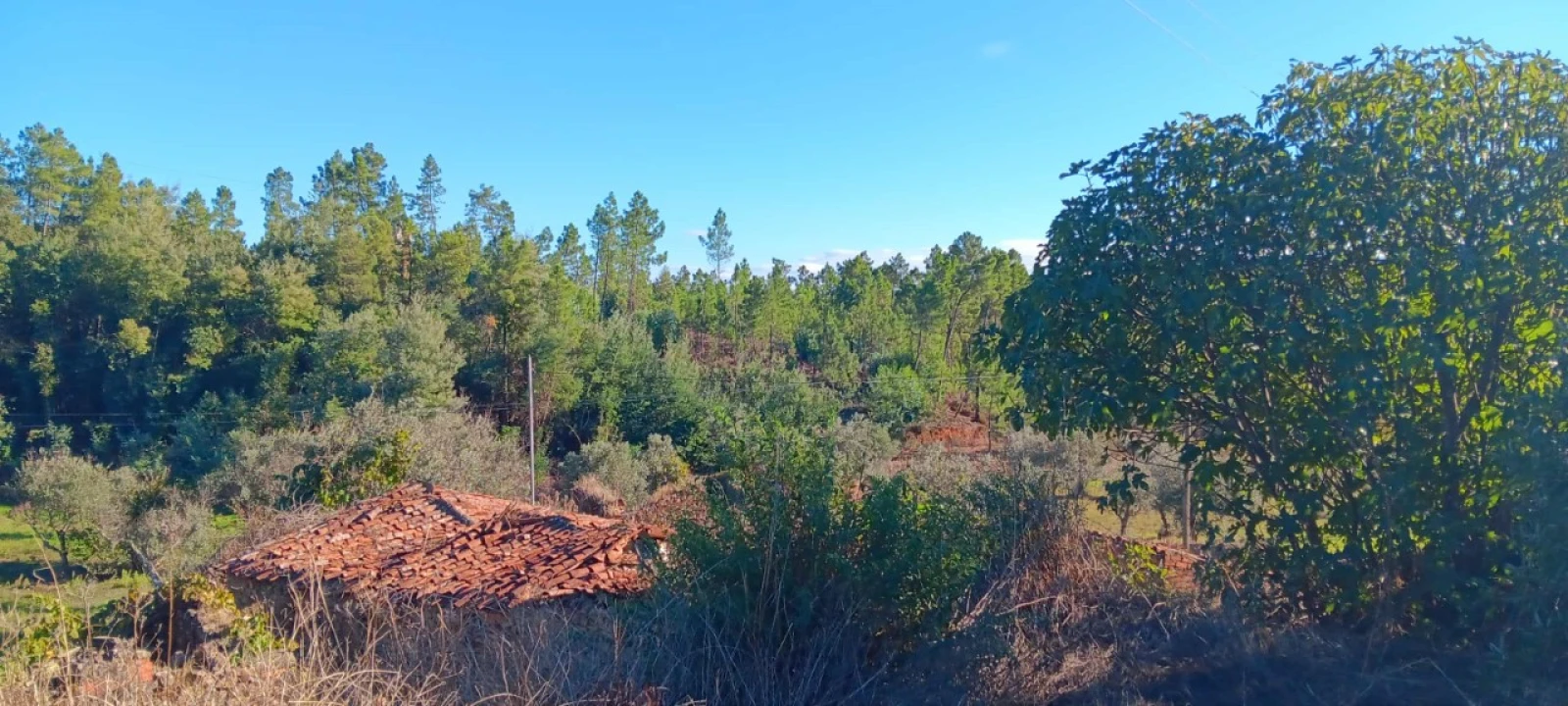 Moradia T2 para Venda em Carvoeiro Foto 7