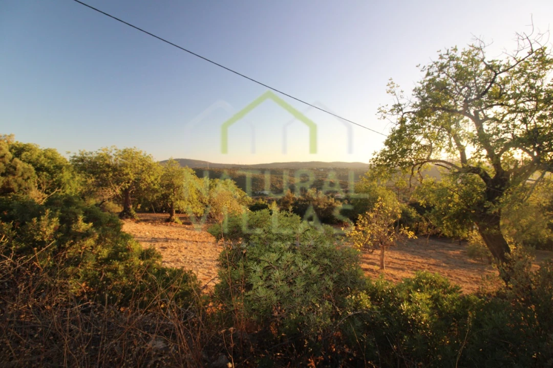 Terreno Agricola ou Rústico para Venda em São Brás de Alportel Foto 1