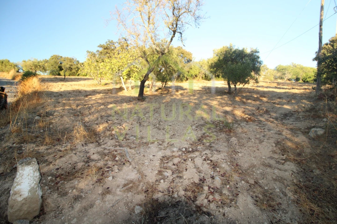 Terreno Agricola ou Rústico para Venda em São Brás de Alportel Foto 2