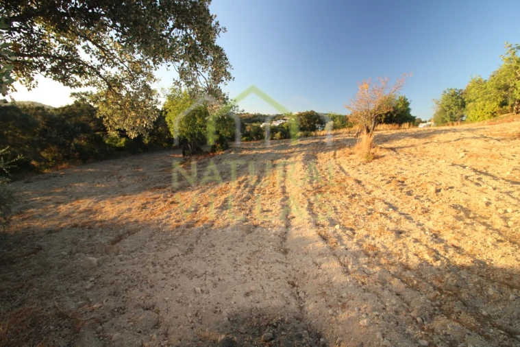 Terreno Agricola ou Rústico para Venda em São Brás de Alportel Foto 3