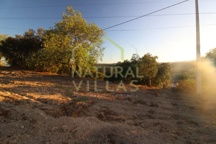Terreno Agricola ou Rústico para Venda em São Brás de Alportel Foto 5