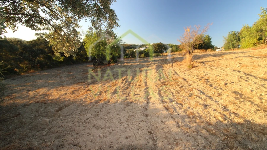 Terreno Agricola ou Rústico para Venda em São Brás de Alportel