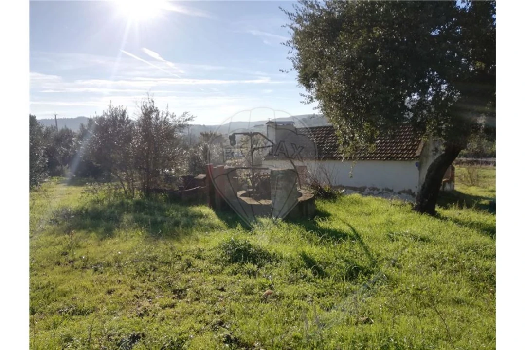 Terreno para Venda em Ulme Foto 2