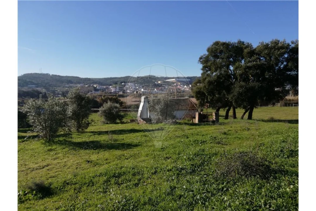 Terreno para Venda em Ulme Foto 3