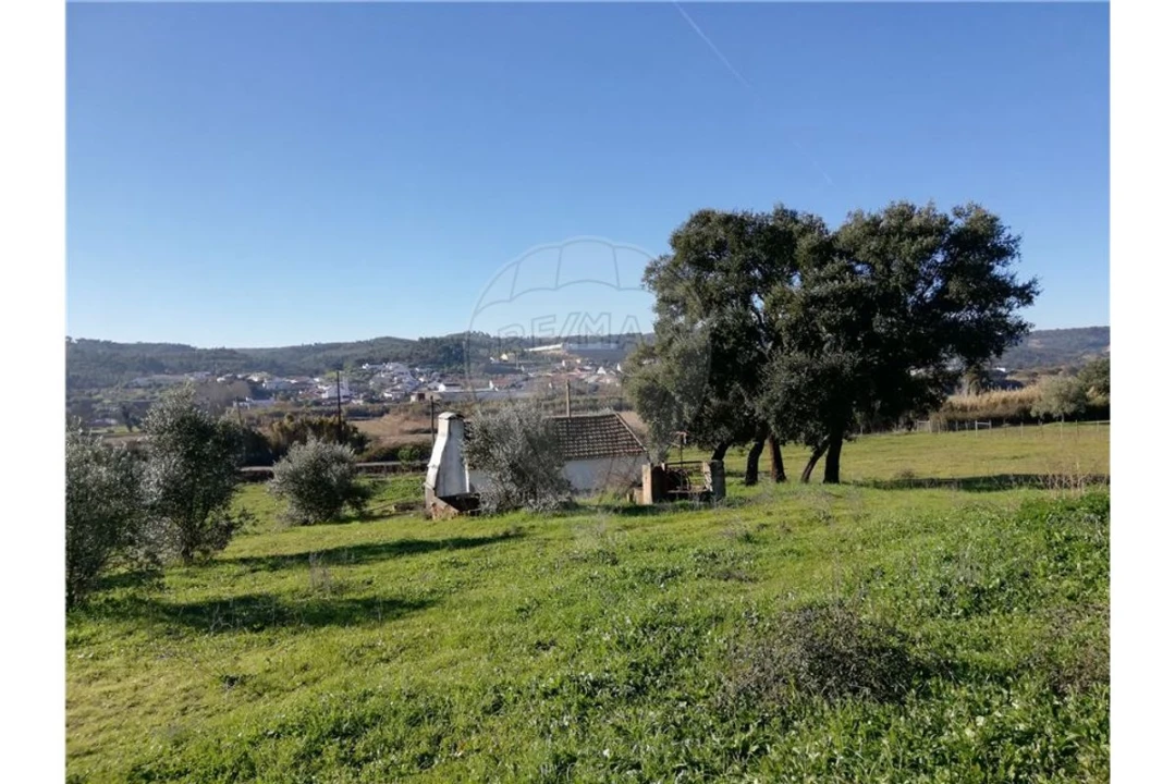 Terreno para Venda em Ulme Foto 4