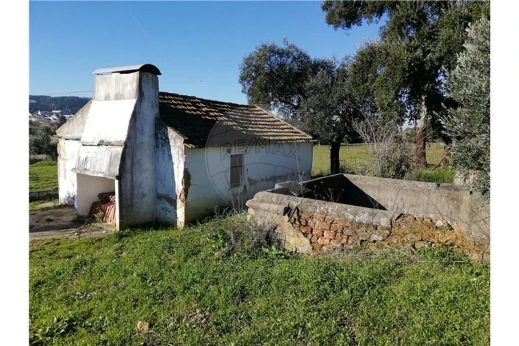 Terreno para Venda em Ulme Foto 10