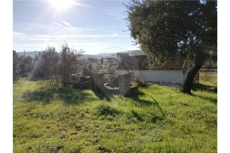 Terreno para Venda em Ulme Foto 2