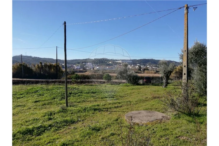Terreno para Venda em Ulme Foto 12