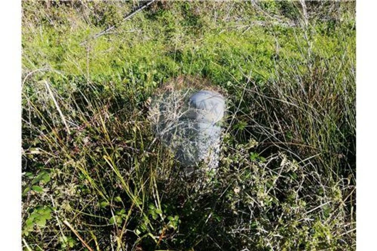 Terreno para Venda em Ulme Foto 6