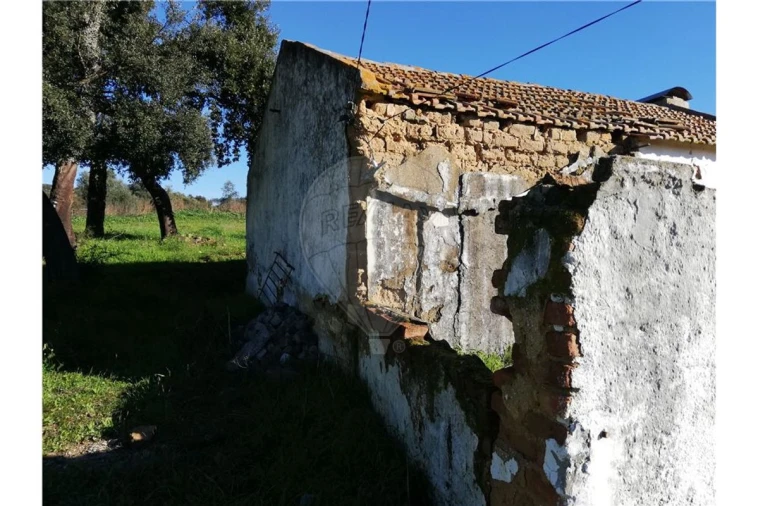 Terreno para Venda em Ulme Foto 13