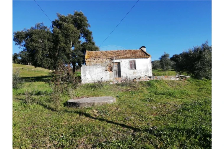 Terreno para Venda em Ulme Foto 8