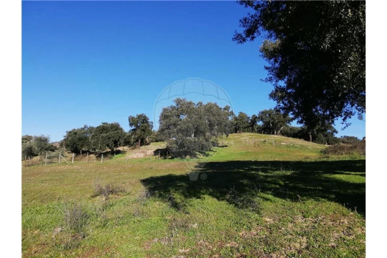 Terreno para Venda em Ulme