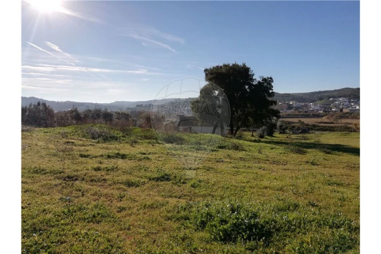 Terreno para Venda em Ulme Foto 7