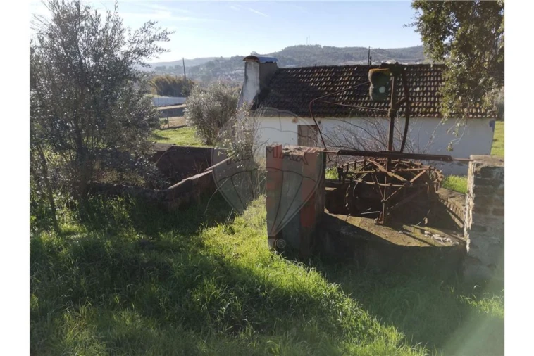 Terreno para Venda em Ulme Foto 9