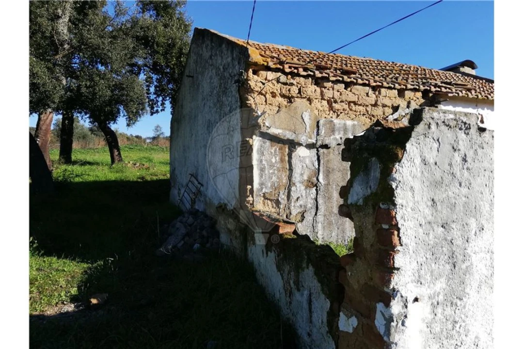 Terreno para Venda em Ulme Foto 13
